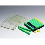 Η Έννοια Της Τετραγωνικής Παλάμης