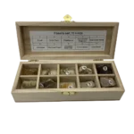 Fossils Set 10pcs