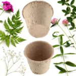 Biodegradable Seedling Pots – Set of 10 - Image 2