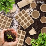 Biodegradable Seedling Pots – Set of 10 - Image 3