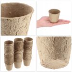 Biodegradable Seedling Pots – Set of 10