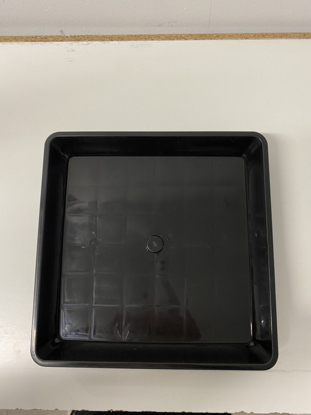 Growing Trays (Set of 4) - Image 4