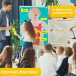 Human Body Anatomy Panel for Kids with Removable Organs - Image 4