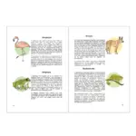 Illuminated Physical Globe with Animals & Book – Greek Edition (25cm) - Image 4