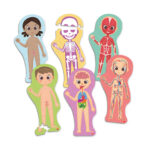 Discover and Identify the Human Body